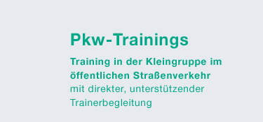 PKW-Trainings: Training in der Kleingruppe im ffentlichen Straenverkehr mit direkter, untersttzender Trainierbegleitung